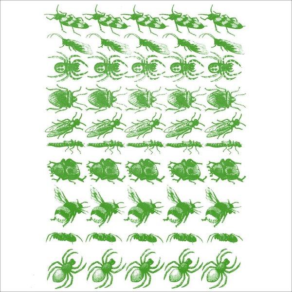 Bugs (Green)