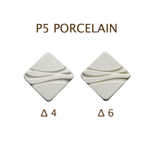 Porcelain P5  Cone 5-6