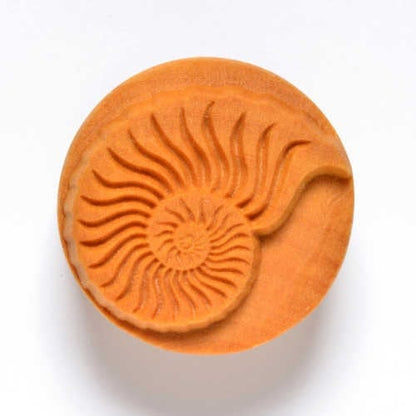 Large Round Stamp Nautilus Shell