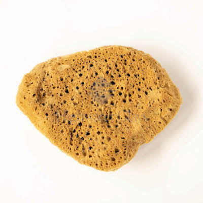 Mudtools Orange Sponge – Highwater Clays