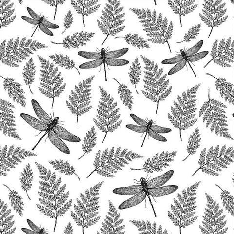 Dragonflies & Ferns
