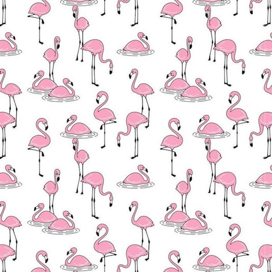 Flamingo (Multi-Color)
